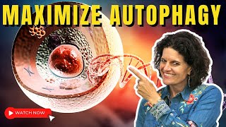 AUTOPHAGY  5 Keys to Maximize Autophagy Benefits [upl. by Uoliram]