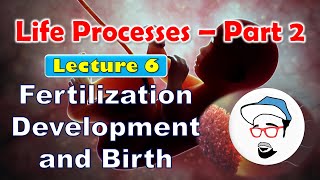 Fertilization Development Birth  Life processes in Living Organisms Part 2 Class 10 SSC CBSE [upl. by Nathanson]