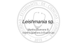 Leishmania sp [upl. by Aromat]