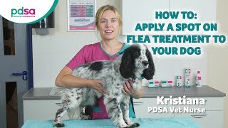 How To Apply A Spot On Flea Treatment To Your Dog PDSA Petwise Pet Health Hub [upl. by Yerxa]