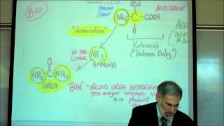 PHYSIOLOGY CELLULAR RESPIRATION PART 2 by Professor Fink [upl. by Ogawa]