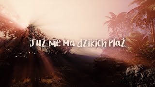 Mateusz Mijal  Już nie ma dzikich plaż Lyric Video [upl. by Arvo]