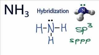 NH3 Hybridization Hybrid Orbitals for NH3 ammonia [upl. by Dickman]