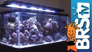 LED Lighting For Aquariums  EP 3 Aquarium Lighting [upl. by Lledraw]