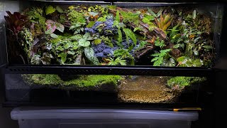 PALUDARIUM TUTORIAL  Step by step [upl. by Aehsan]