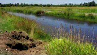 Following the Invasive Nutria in the Northwest [upl. by Balough526]