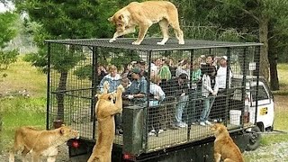 10 MOST STUNNING ZOOS IN THE WORLD [upl. by Jecon]