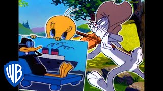 Looney Tunes  Summer Holiday  Classic Cartoon Compilation  WB Kids [upl. by Leikeze780]