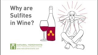 Why are Sulfites in Wine [upl. by Freiman]