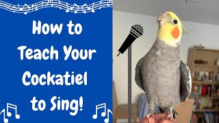 How to Teach Your Cockatiel to Sing 🎤  BirdNerdSophie [upl. by Naxela]