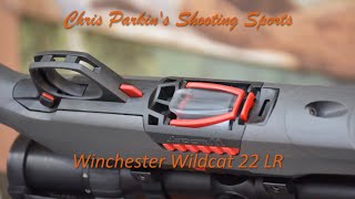 Winchester Wildcat 22 LR REVIEW [upl. by Adrianna628]