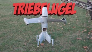 FockeWulf Triebflügel by Luigi Rossi test at full power [upl. by Lurie753]