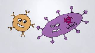 How Our SPEAR Tcells Work [upl. by Hjerpe]