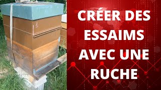 apiculture CRÉER DES ESSAIMS AVEC UNE RUCHE [upl. by Amor]