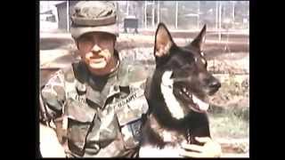 War Dogs Of Vietnam [upl. by Campagna]