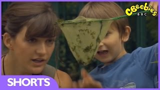 CBeebies Minibeast Adventure with Jess  Waterboatman [upl. by Tempest701]