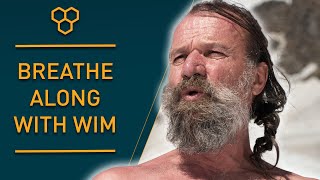 Breathe Along with Wim Hof  Guided Breathing [upl. by Dewitt252]