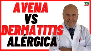 🔴 Cómo curar la DERMATITIS ALÉRGICA en Perros 🔴 por picadura de PULGAS y ÁCAROS 🔴 con AVENA 🔴 [upl. by Laurie]