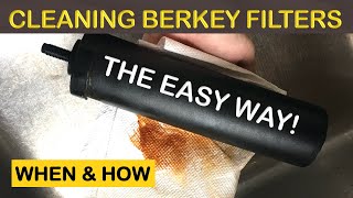 WHEN amp HOW TO CLEAN THE BERKEY WATER FILTER [upl. by Llecrep]