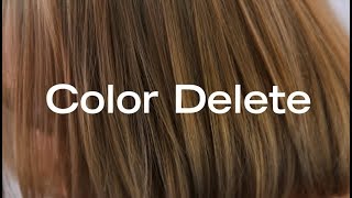 How To Remove Permanent Haircolor In a Single Step  Color Delete [upl. by Emmalyn]