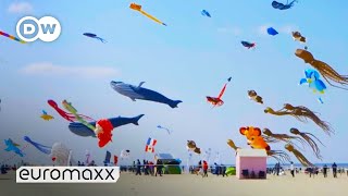 Biggest Kite Festival in Europe  Up in the Air in BercksurMer France [upl. by Ib904]