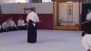 Kiriotoshi by TK Chiba Shihan [upl. by Felicidad]