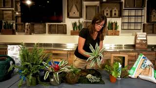 How to Make a Kokedama with Kathleen [upl. by Kwapong58]