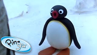 Pingus Big Trip  Pingu Official  Cartoons for Kids [upl. by Eillo]