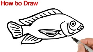 How to Draw Tilapia Fish Easy [upl. by Lamrouex]