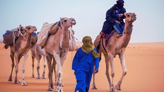 The origins of Berbers  Amazigh Indigenous people of North Africa [upl. by Tandie684]