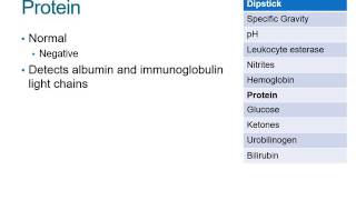 How to Read a Urinalysis Result [upl. by Devine]