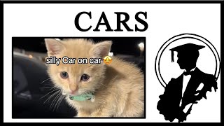 Why Are Cats Still Called Cars [upl. by Harriett]