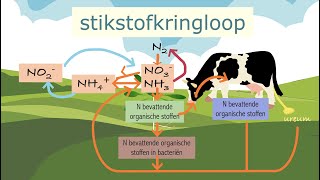 De stikstofkringloop [upl. by Onitsoga897]