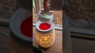 How to use the Scentsy Warmer amp Wax fragrance system 💕 [upl. by Abagail]