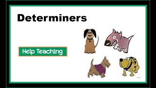 What are Determiners  English Grammar Lesson [upl. by Adriena645]