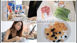 DAILY ROUTINE 🇰🇷  WHAT I EAT IN A DAY  Erna Limdaugh [upl. by Fast]