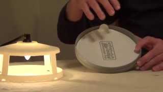 How to Kill Fleas  Flea Trap [upl. by Gross]