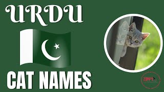 Urdu Cat Names2024 Pakistani Cat Names [upl. by Glassco735]