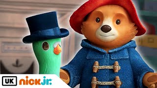 The Adventures of Paddington  Paddington And The Pigeon 🐦  Nick Jr UK [upl. by Akilegna]