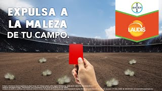 Expulsa a la maleza de tu campo con Laudis® [upl. by Nimzzaj]