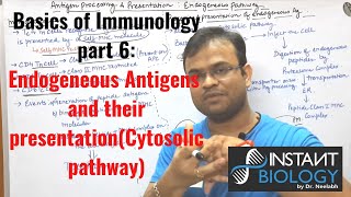 Immunology Part 6 Endogeneous pathway of Antigen processing and Presentation CYTOSOLIC PATHWAY [upl. by Frye]