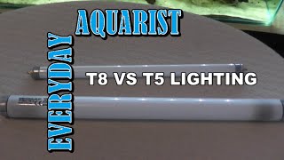 Difference between T8 and T5 Aquarium Lighting Explained [upl. by Shanna]