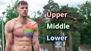 Calisthenics CHEST Workout for Beginners amp Advanced  6 Exercises [upl. by Eikcir]