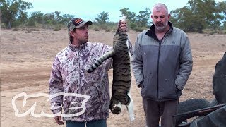 Shooting Cats Australias War on Feral Cats [upl. by Bibbie293]