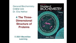 Chapter 4  The Three Dimensional Structure of Proteins [upl. by Axia281]