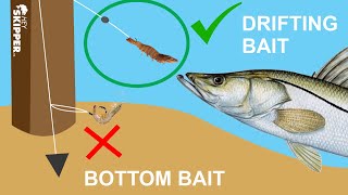 The Secret to Catching BIG Fish at the Pier Simple Pier Fishing Tip [upl. by Bardo185]