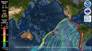 Tsunami 1960 Mw 95 Valdivia Earthquake in Chile [upl. by Fine]