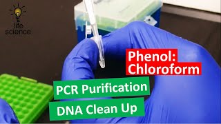 DNA Extraction  Improved PhenolChloroform Method [upl. by Gurl]