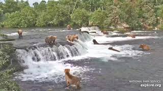 Super Epic Bearapalooza 17 Brown Bears at Brooks Falls 2 hours uninterrupted [upl. by Gustavus720]