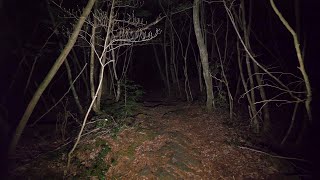 4K・Walking at night in Aokigahara forest no pranks not scary ASMR [upl. by Burns30]